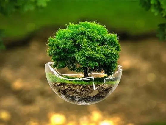 Greenish Landscape - landscape maintenance and cleaning company in Johor Bahru JB