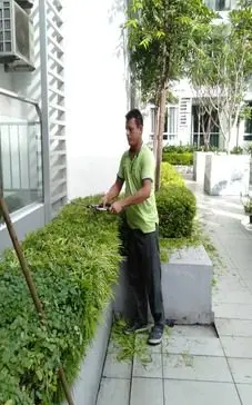 Landscape Maintenance service in Johor Bahru JB by Greenish Landscape